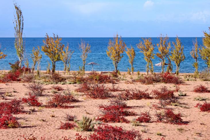 Lake Issyk Kul in the Tosor village area