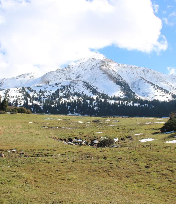 Peak Jeti Oguz, Jeti Oguz valley, Terskey Alatoo range, Jeti Oguz district, Issyk Kul Oblast, Kyrgyzstan
